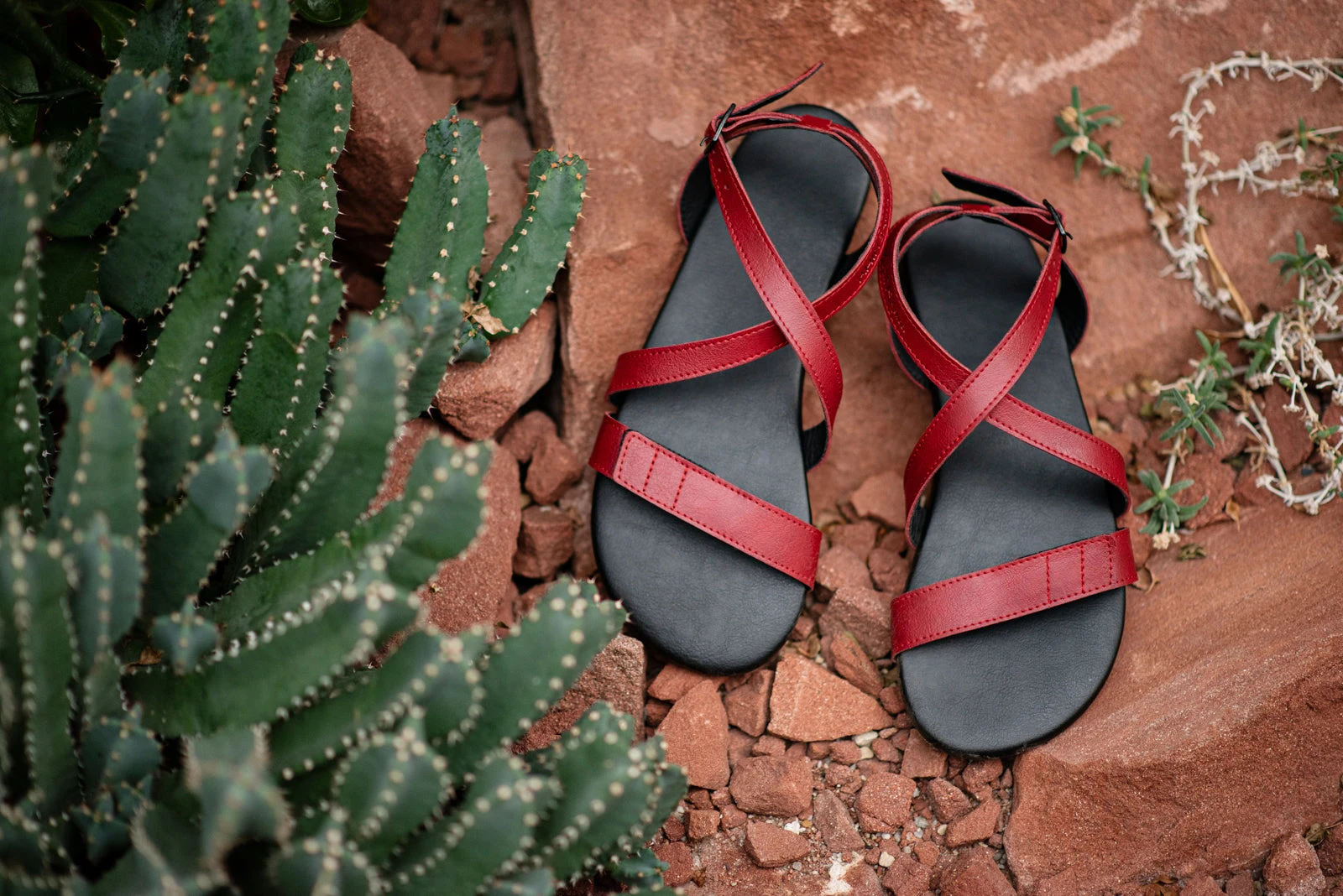 Сандалии Ahinsa Hava Barefoot — бордовый, фото 15